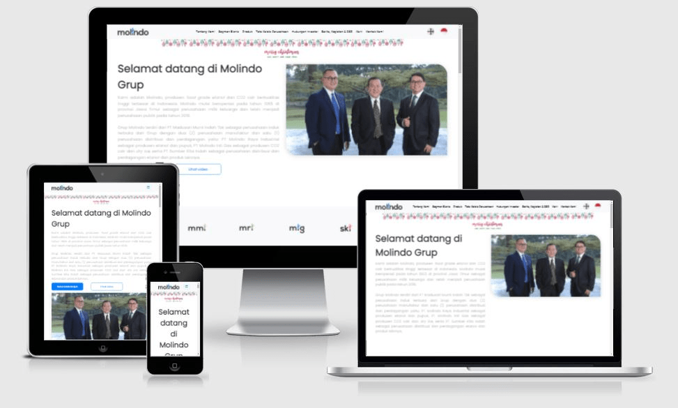 Website MOLINDO Group (PT Madusari Murni Indah Tbk) - molindo.co.id